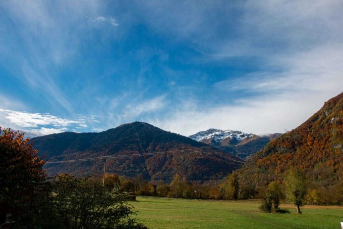 31G101444-a59a24c7790046b6914f491ee8ceb9df