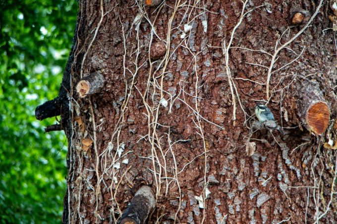 31G101444-a5b2eddc324b49059447cf524b654be1