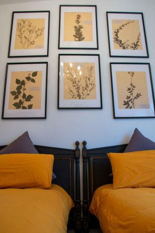 31G101444-d0c4e5c893b14f3d8447ae14ed437628