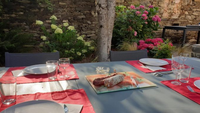 31G101449-1670265615d24ee3adf515f537d98c41