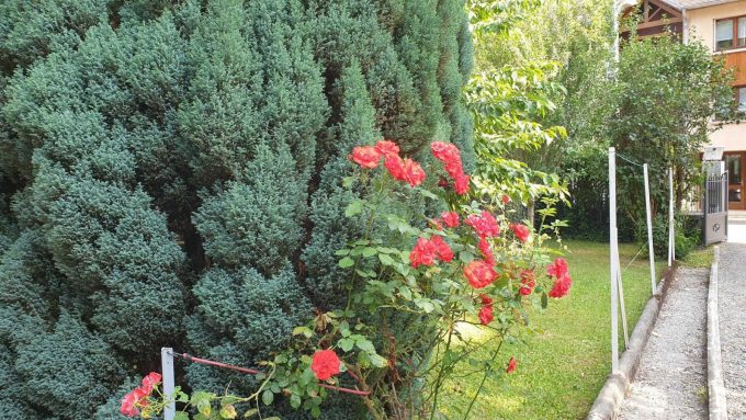 31G101449-a3bdce20eafe454c91a518c3dab67ea5