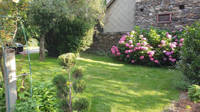 31G101449-ade82422998e460d9cc226d1a7291092