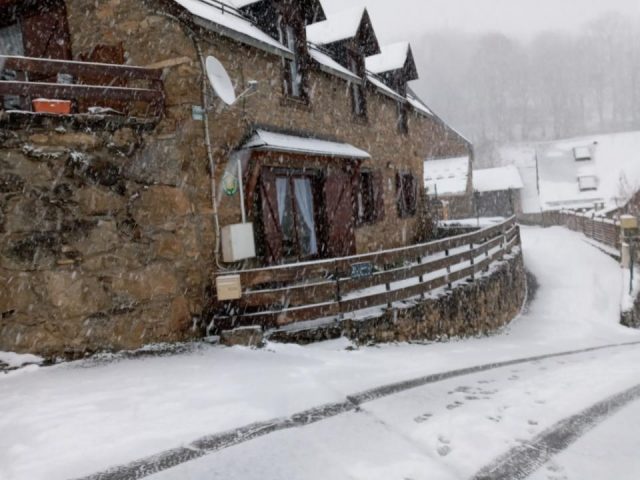 31G101463-15894a4e398249358681dc7a41c2005f