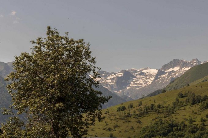 31G101463-3eee6d5ed9354f6a9cd8a208c4892682