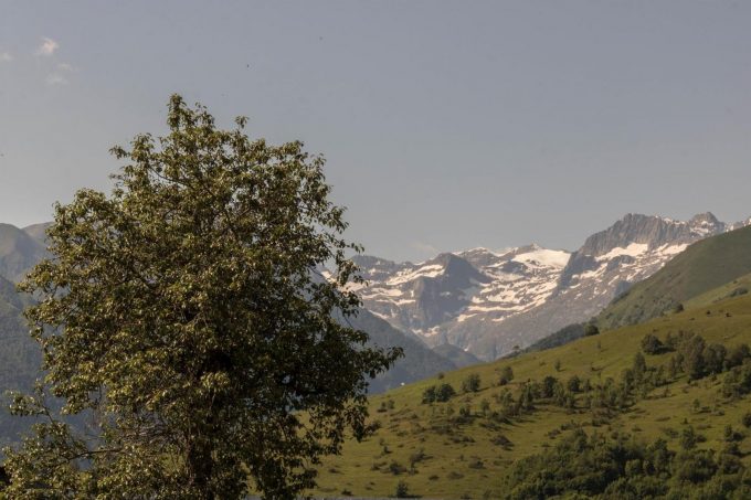 31G101463-4be12e5b6bf84adabe13a22acb5ce782