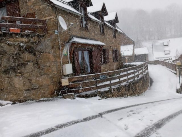 31G101463-8cb850af5f1046369a8b291f31716abd