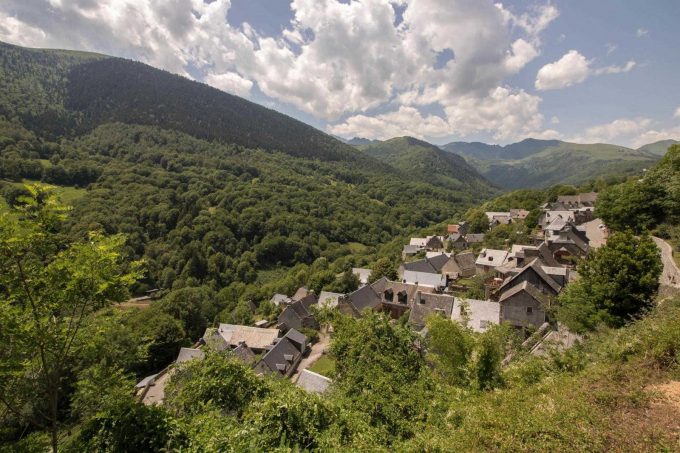 31G101464-8d8e754a3f874f84b381340cfc1c6689