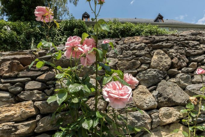 31G101464-cb6c7ccdfbda4126918b8b66d174a7af