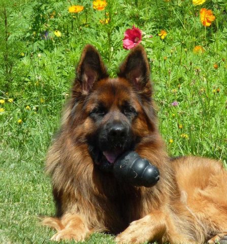 31G101478-07b159cb42a340ed95616267a9641d96