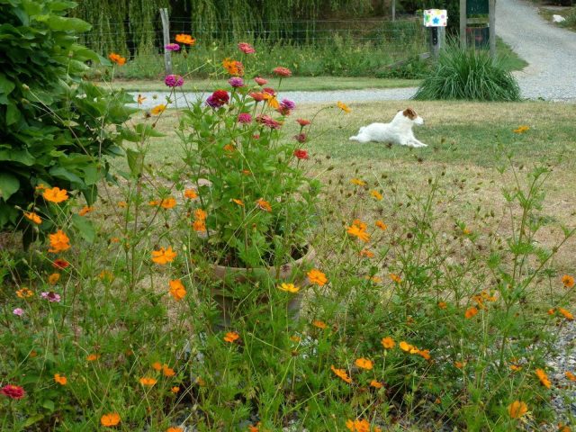 31G101478-0fc75d29d3dc4763a05246fe3fe5ac33