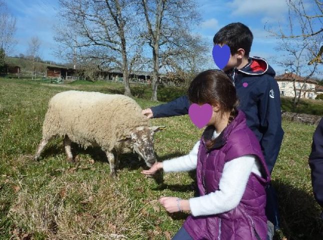 31G101478-389bb189a71b4543b508159074b1f20d