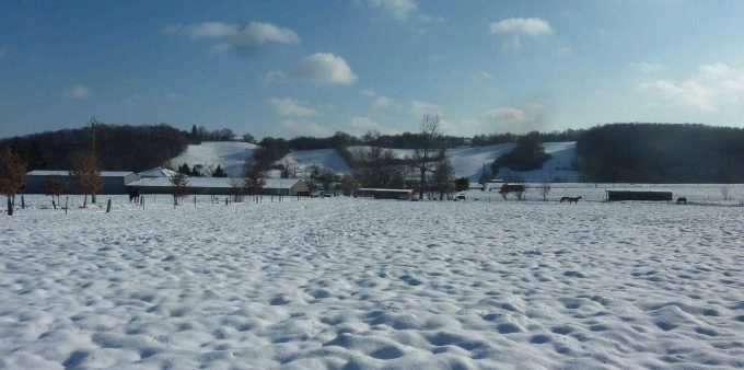 31G101478-40d9d23880884bfca5815cd8ca96acc9