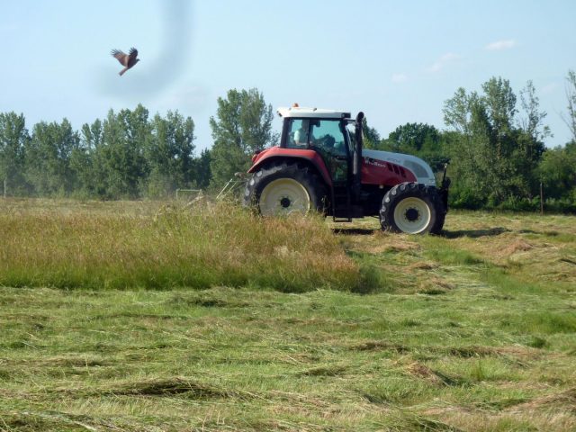 31G101478-4694a9531d354e2e802606acb7df066f