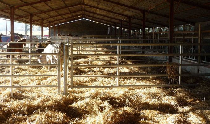 31G101478-6132c58987414d36a3669b76afdb91f2