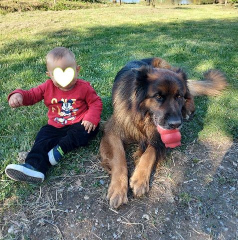 31G101478-742ab9cf40324133b95723c6670a3279