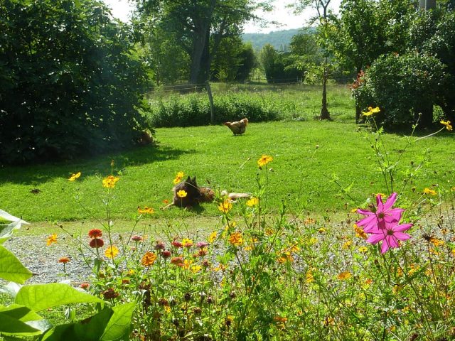 31G101478-7bbdaf7037ec4ecfb162f09f012994c4