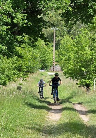 31G101478-8c514a5d6f974a279f3f86e6261ab28a