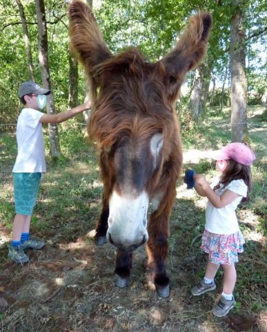 31G101478-8fcfe57ae2654ef081c8c74b6c15aea4