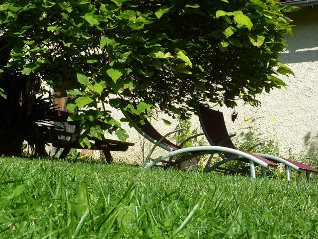 31G101478-93f825b6bcea438587b257915dfdd116