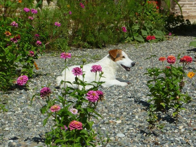 31G101478-99e97293dd6d44b9a815e7e18e11104c