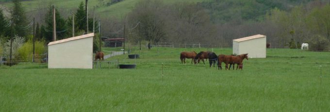 31G101478-9be144b07b814c29bcc5ac8049f29be3