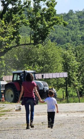 31G101478-9e033f32f3a04d7da108c1f71adc27c1