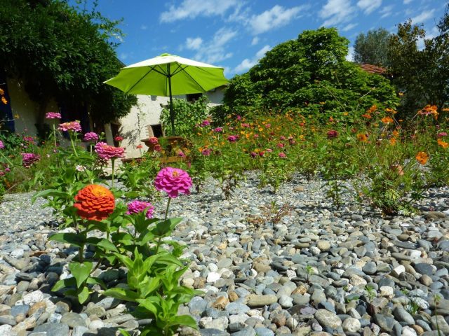 31G101478-a2e0090f27c24c7799756791c1e992d2