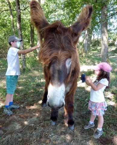 31G101478-ad8baed4111a469b81d53ef569a2a733