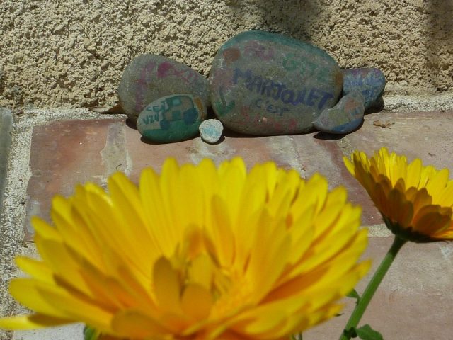 31G101478-b0a3238dccec4dda8a913d3ca3fefa3b