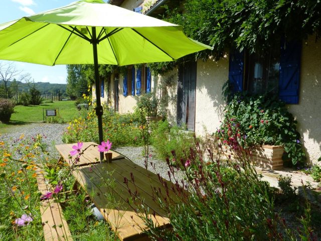 31G101478-c6799737eb2e48fbb6c1dd0a18c0396a