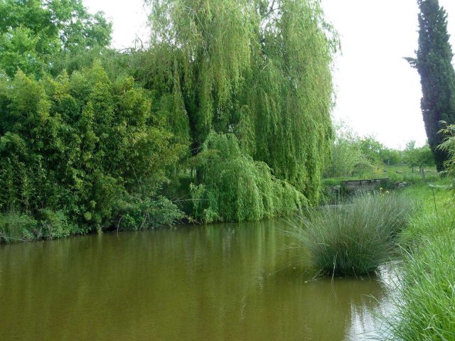 31G101478-cf0152eb49fa44fa968ae8fa3a238bae