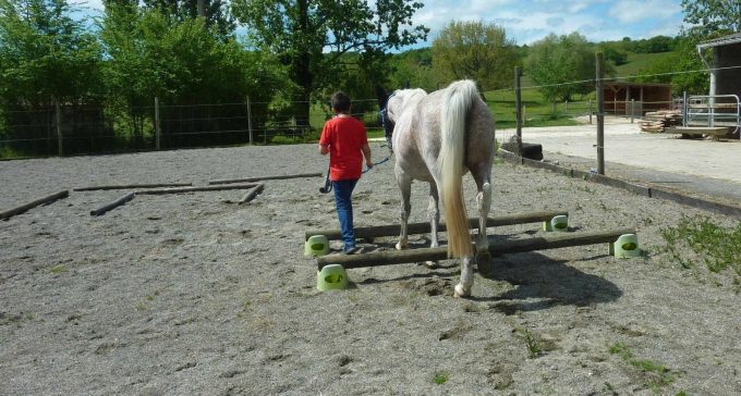 31G101478-d7135edcafe0483e84cf11100b944e09