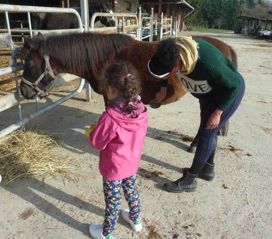 31G101478-efb3826ec4e34c848b409fff34131e31