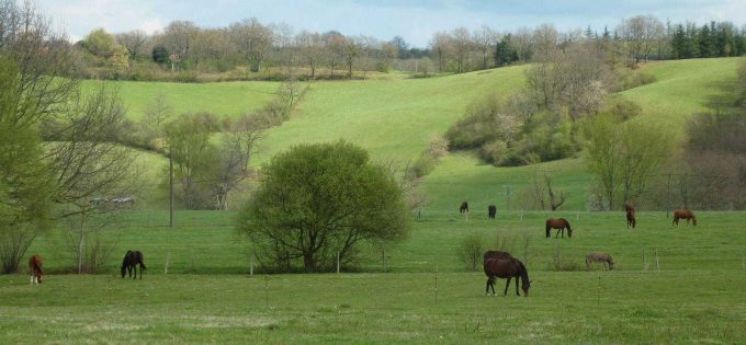 31G101478-f21cc355f8ad49ed9489eaa3d71b3ad8