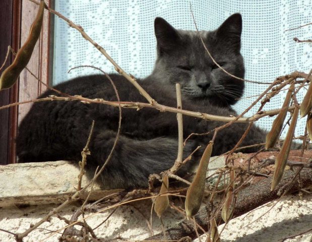 31G101478-f7882600b20740688f5a18804bbee0f2