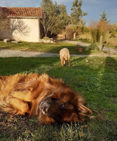 31G101478-fc21e3ea4627465ab50c01062ff2bf4f