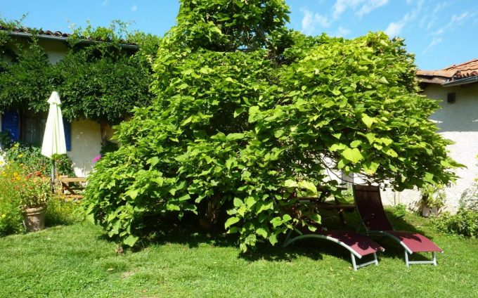 31G101478-fd0aaa57e897467fa7eeaddcf00e7c39