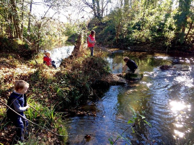 31G101480-0c1fdb909b80448f8a8a48e5e0a9317c