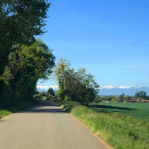 31G101480-1fea11de57d140eba38902fd8a79b0b1