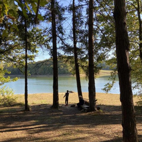 31G101480-21968840bd99476ebe7a91ce96bf5f71