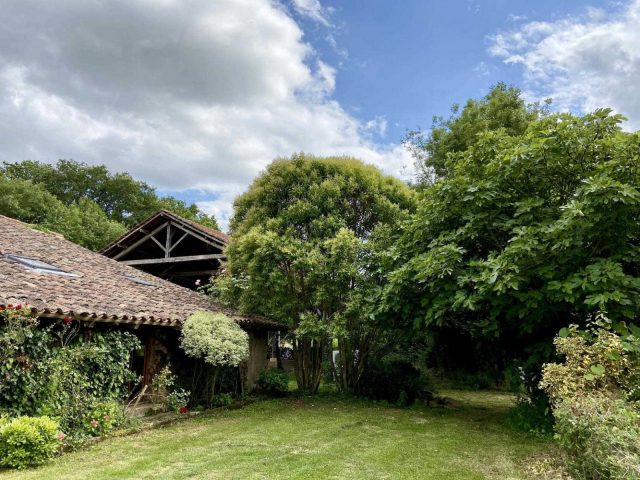 31G101480-50f2da2b1194461f86a2151d21f0fd22