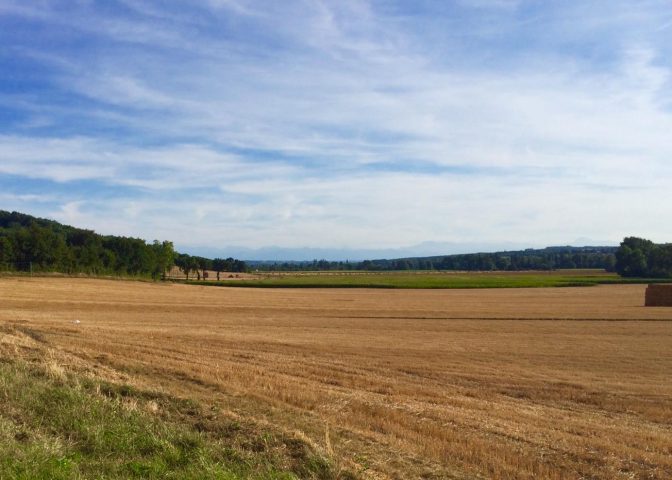 31G101480-6349955515d14e7498e239d0a5e17e94