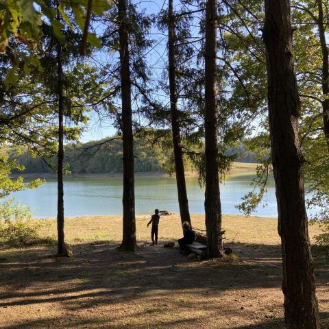 31G101480-8ffb6ad2e3f548c7bd1590a3bd7e5480