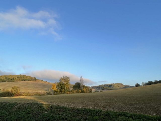 31G101480-968a36f0cbbc4271a4b2eb4f248f83a1