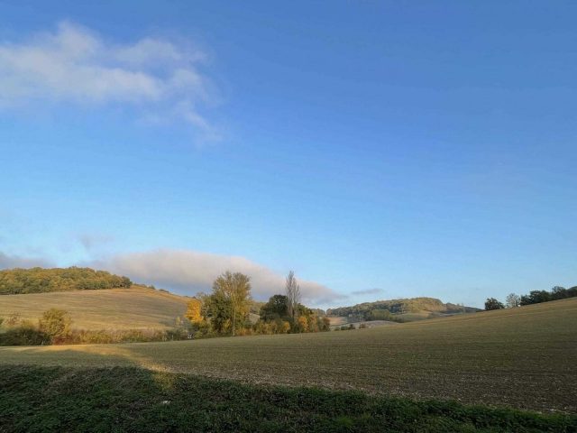 31G101480-96d87176275746b1add57f1ada2fd5b1