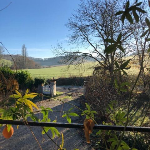 31G101480-bed234d5aa0244f09dae71354699a7a3