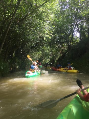 31G101480-dedac85adff042d088a376f83ffd1e11