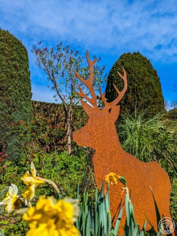 31G101491-6e0d5688f4ac4854bbc2f45251a21581