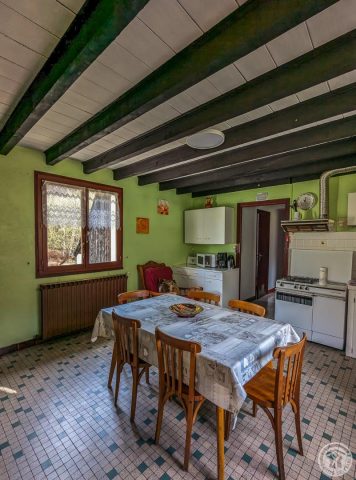 31G101491-7cc870cc566a45a6aa89e56893208604