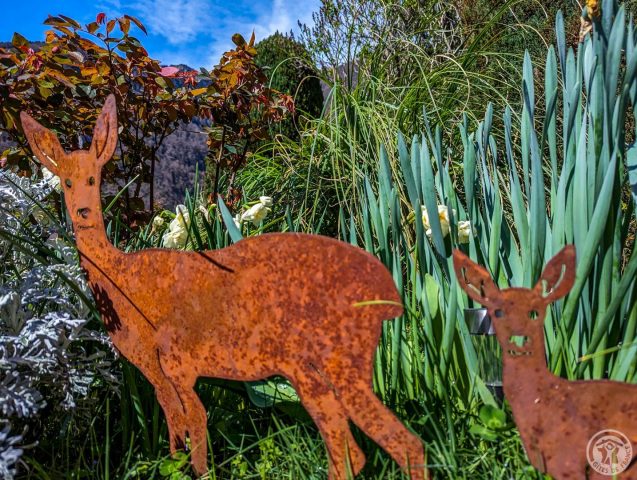 31G101491-979661b946fe4542aa0d55ab39c31a81